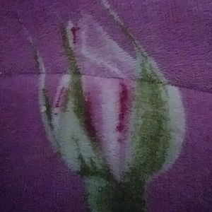 Meet your Posher, Caitlyn